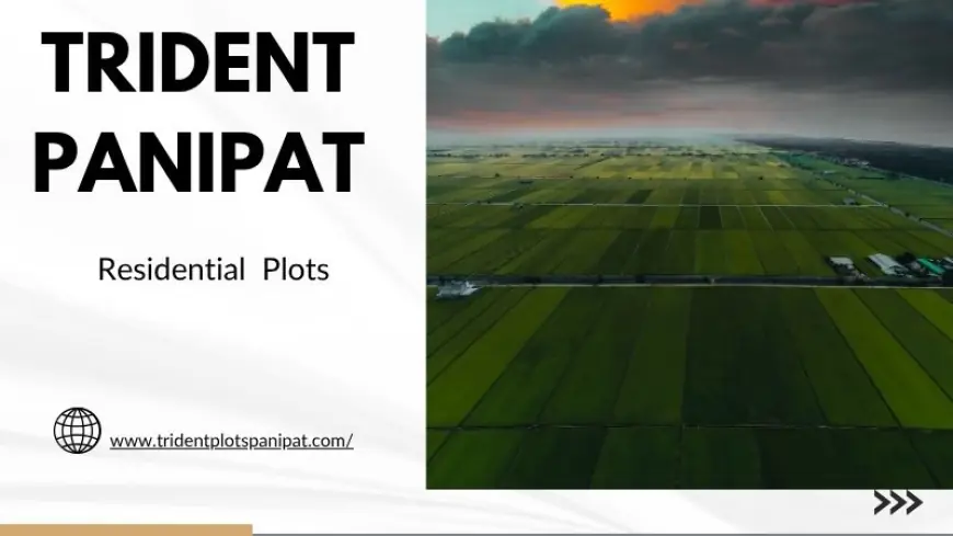 Trident Plots Panipat | Plots for Make Home