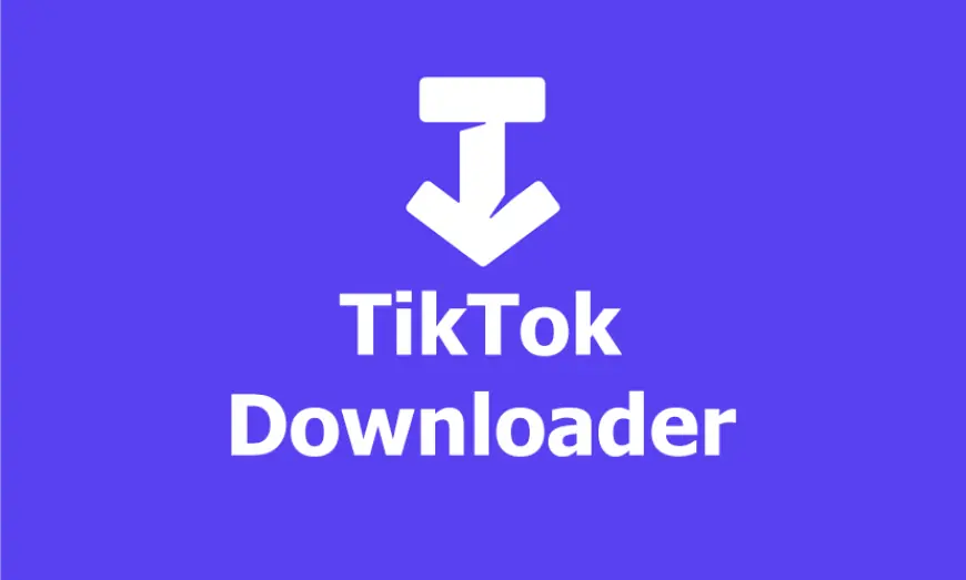 SSSTikTok: Download Video TikTok Tanpa Watermark & MP3 Gratis Tercepat