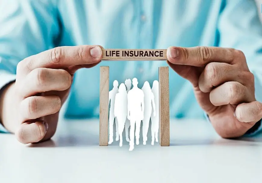 Austria Life & Non-Life Insurance Market 2030 Size & Forecast