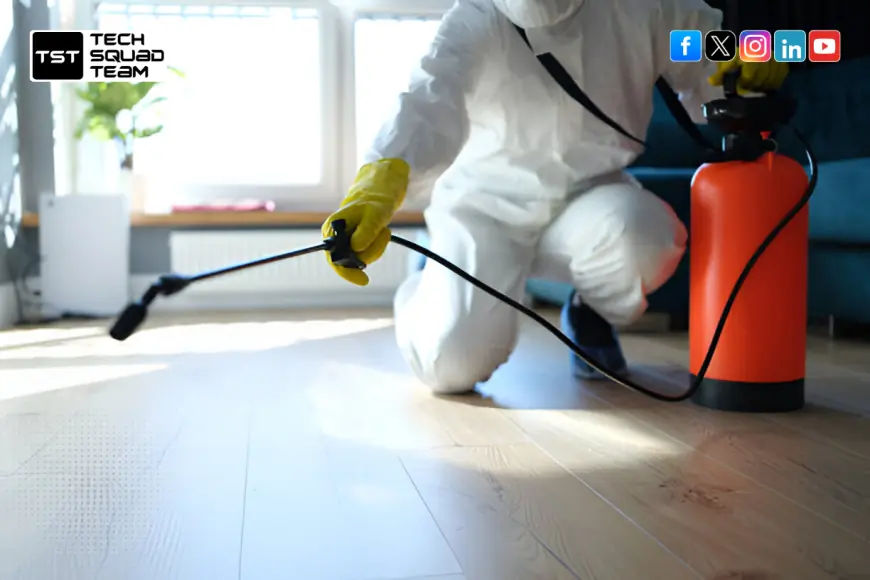 Top-Rated Pest Control Services in Bangalore for Termites, Cockroaches, and More!