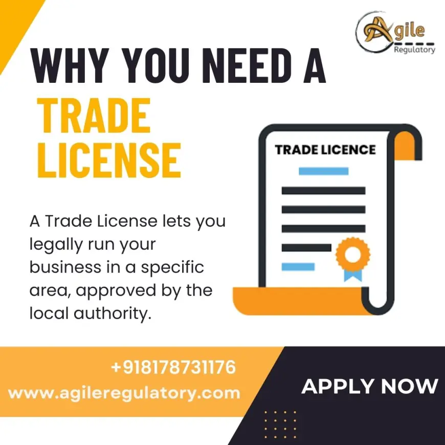 Hassle-Free Trade License Application in Delhi – Expert Help