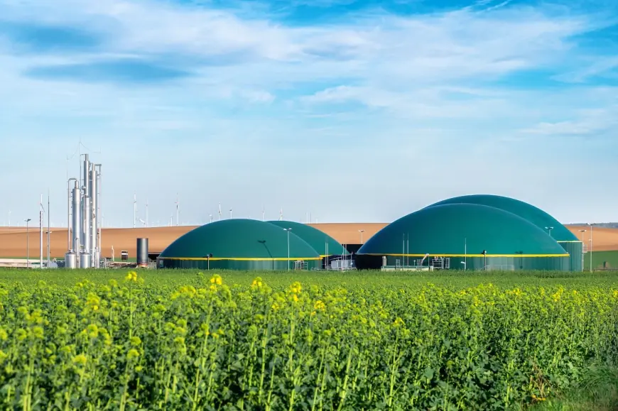 Bio-Energy Manufacturing Plant Report 2025 | Machinery Requirements and Setup Layout