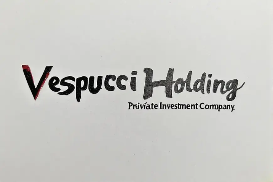 Vespucci Holding: Innovative Public Market Investment Firm