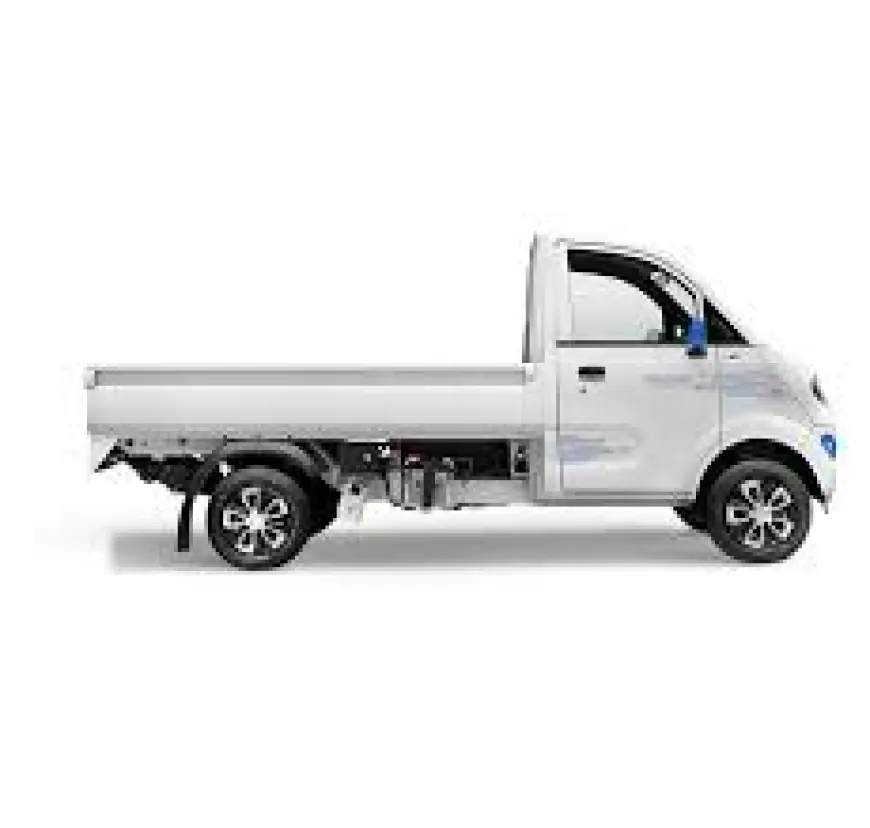India Electric Commercial Vehicle Market 2031 by Propulsion