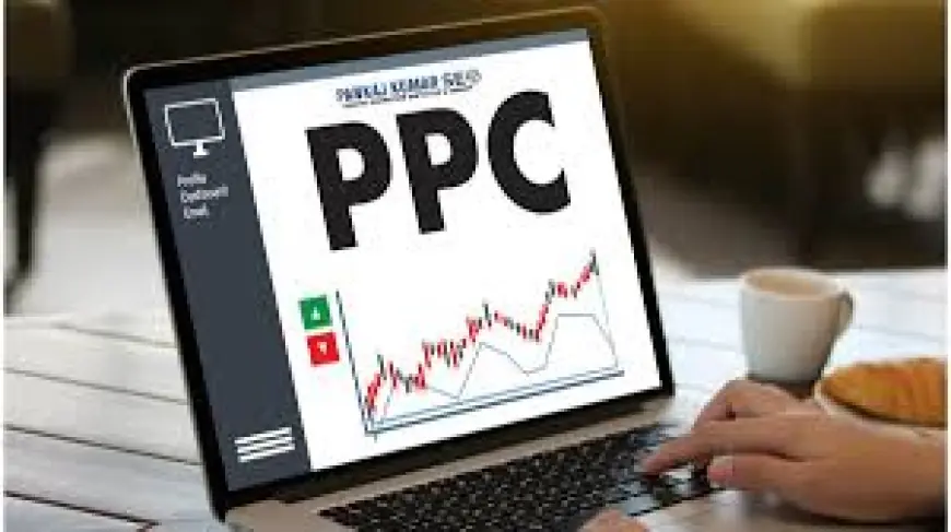 How an SEO Company in Frisco Can Grow Your Business in 2025