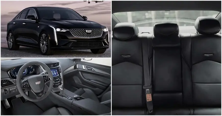 Premium Town Car Service in Houston, TX – Comfort, Class & Convenience