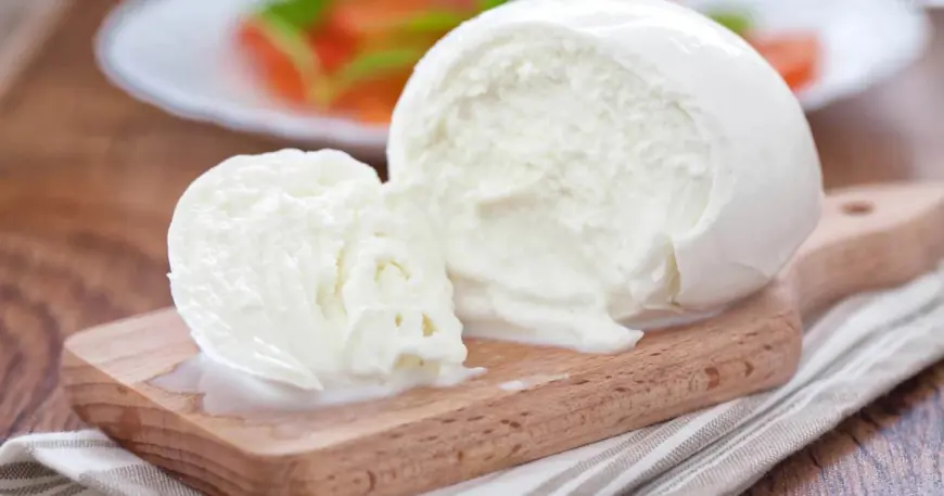 Mozzarella Cheese Powder Manufacturing Plant Setup 2025: Project Report, Business Plan, and Cost Analysis