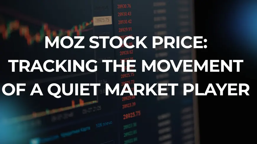 Moz Stock Price: Tracking the Movement of a Quiet Market Player