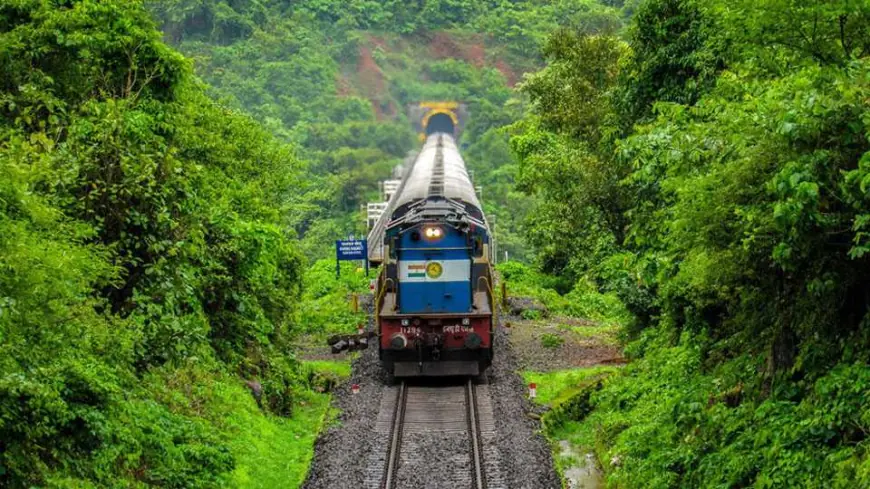 Explore Nature's Paradise with Coorg Tour Packages