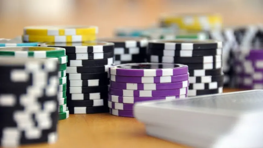 How to Get Free Spins and Bonuses at Dolfwin Casino
