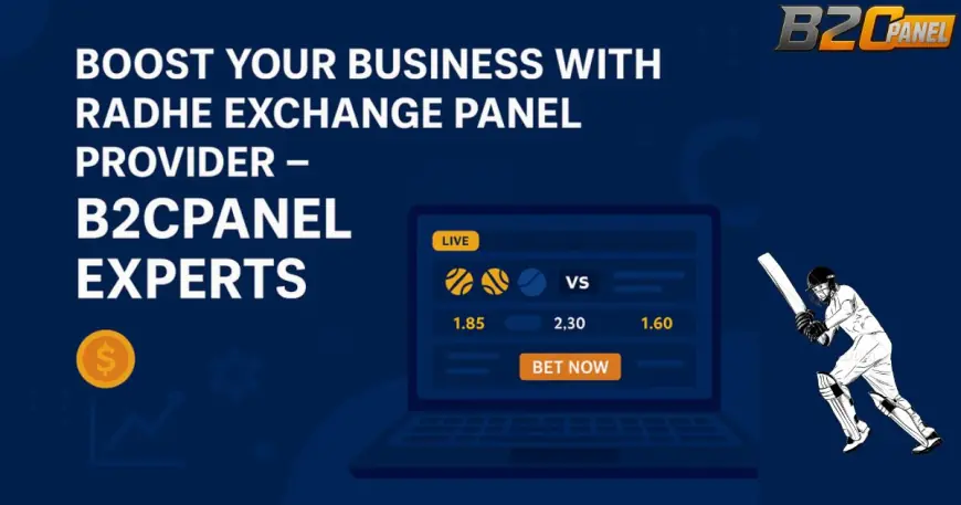 Boost Your Business with Radhe Exchange Panel Provider – B2CPanel Experts