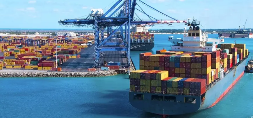 From Ports to Digital Platforms: Global Cargo Shipping Market Dynamics