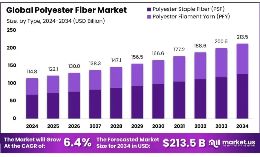 Polyester Fiber Market Forecast: What's Ahead for 2033?