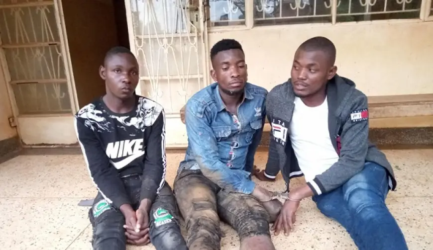 The Day Thieves Got Confused and Brought Back What They Took From Me