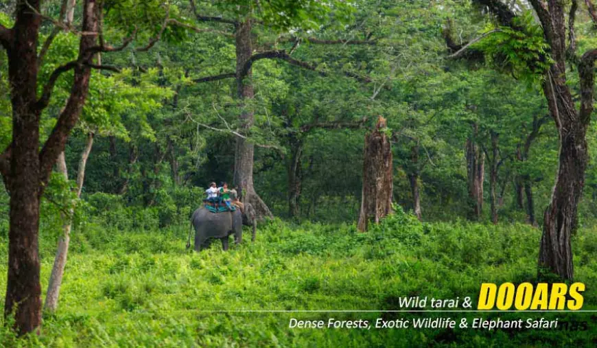Explore the Wild Beauty with Custom Dooars Tour Packages from Kolkata
