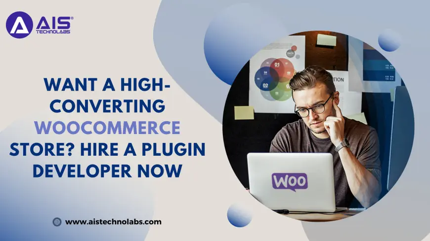 Want a High-Converting WooCommerce Store? Hire a Plugin Developer Now