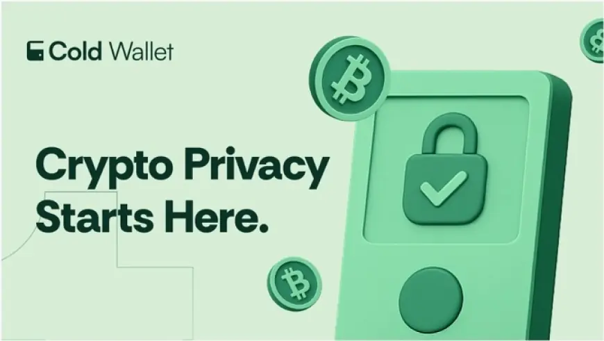 Best Crypto Cold Wallets: Safeguard Your Digital Wealth