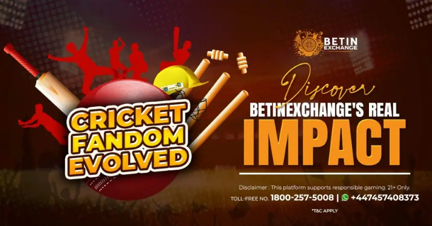 Betinexchange: Built for Game Changers