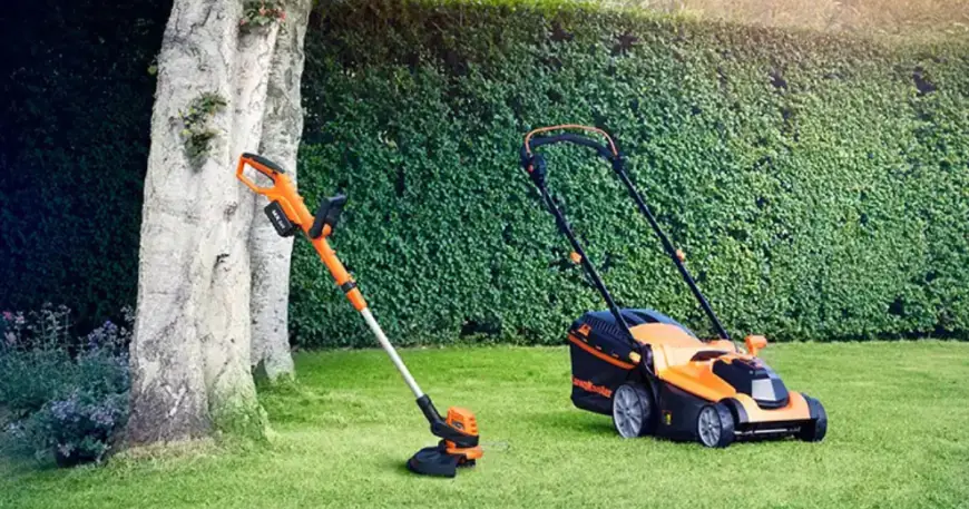 Choosing the Right Lawn Service in Leander for Your Yard