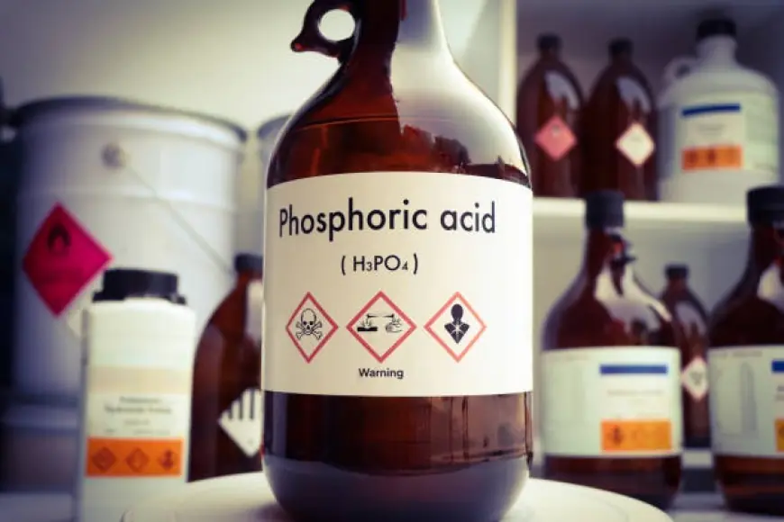 Phosphorus Acid Production Plant Report 2025, Machinery, Cost and Profits Margins
