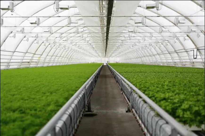 United States Indoor Farming Market Forecast by Investment Opportunity 2025–2033