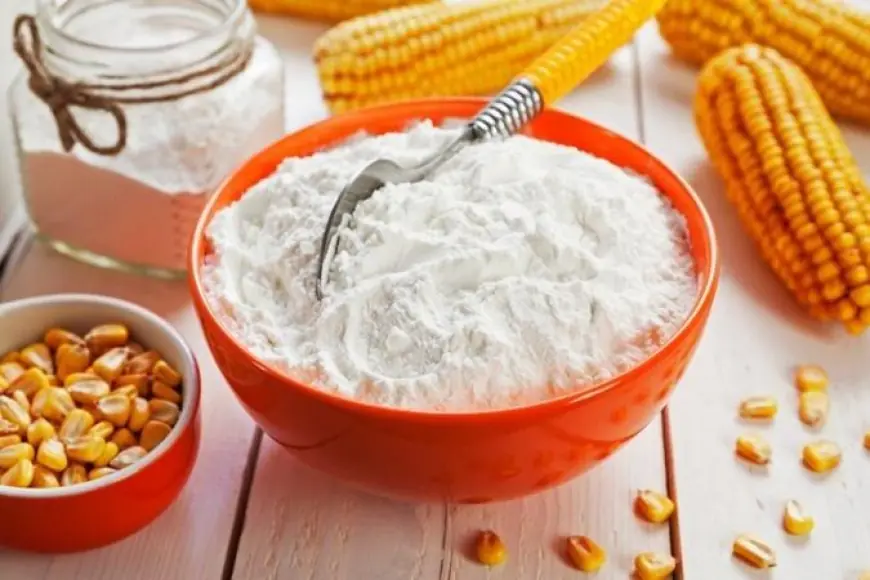 Dextrin Manufacturing Plant Cost 2025: Capital Investment and Detailed Project Report