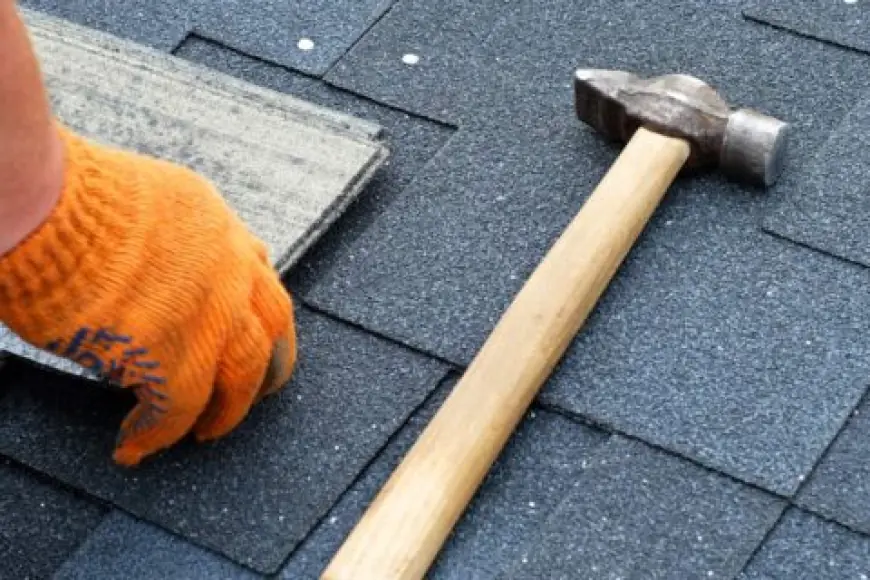 Affordable and Reliable Roof Leak Detection Dorset Services Near You