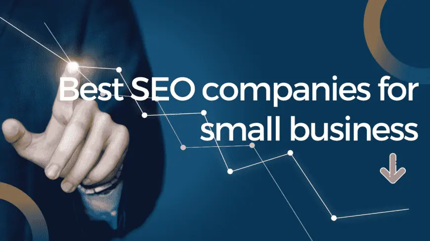 Affordable SEO Packages for Small Businesses – Boost Growth with the Right Plan