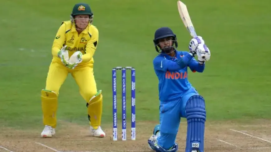 Willow and Leather: A Cricketing Journey