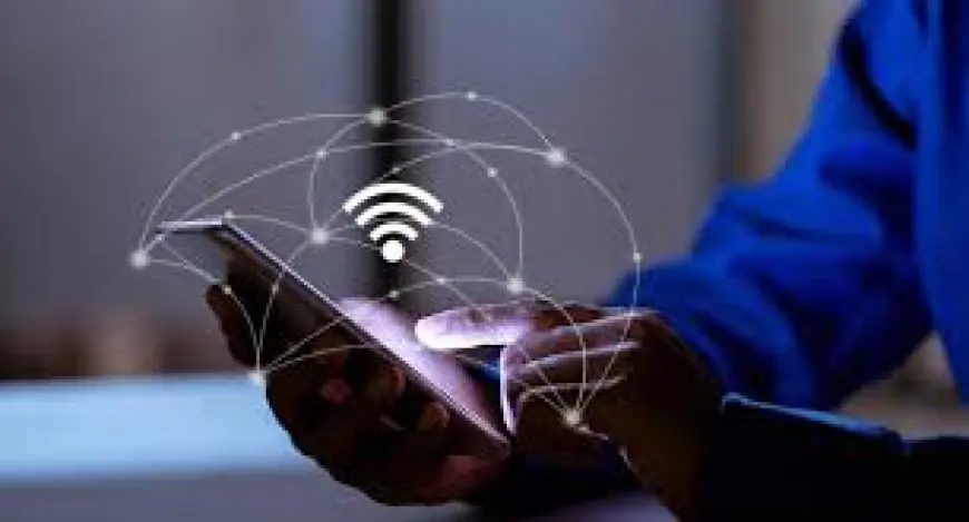 Wireless Network Solutions: A Complete Guide for Modern Businesses