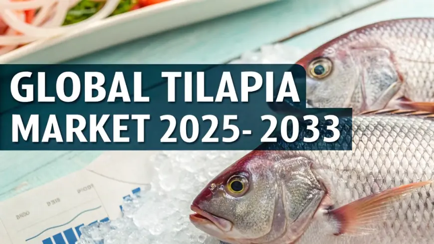 Tilapia Market Growth, Trends, Industry Share, Key Players and Forecast 2025-2033