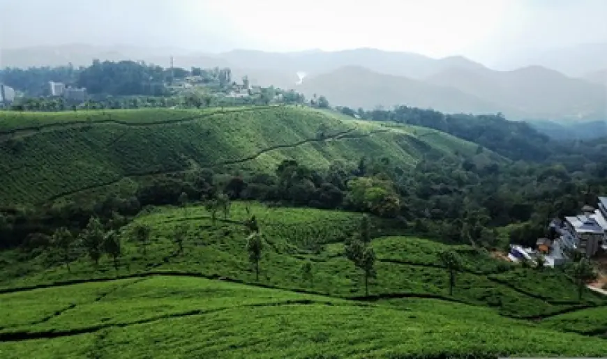 16 Days South India with Kerala Backwaters Exploration