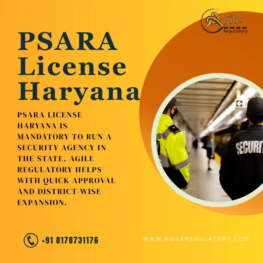 Business Resilience in Haryana's Service Sector: Building a Foundation of Compliance and Professionalism