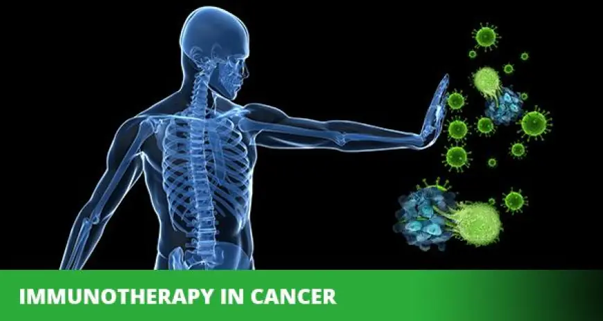 From Cancer to Chronic Disease: The Rise of Immunotherapeutic Approaches