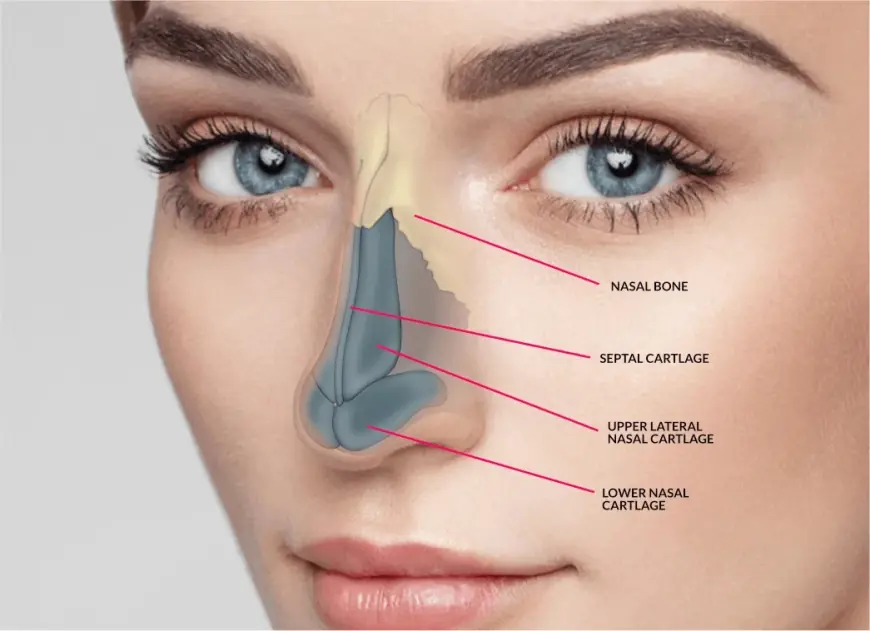 Budgeting for Rhinoplasty in Dubai: Planning Your Financial Journey