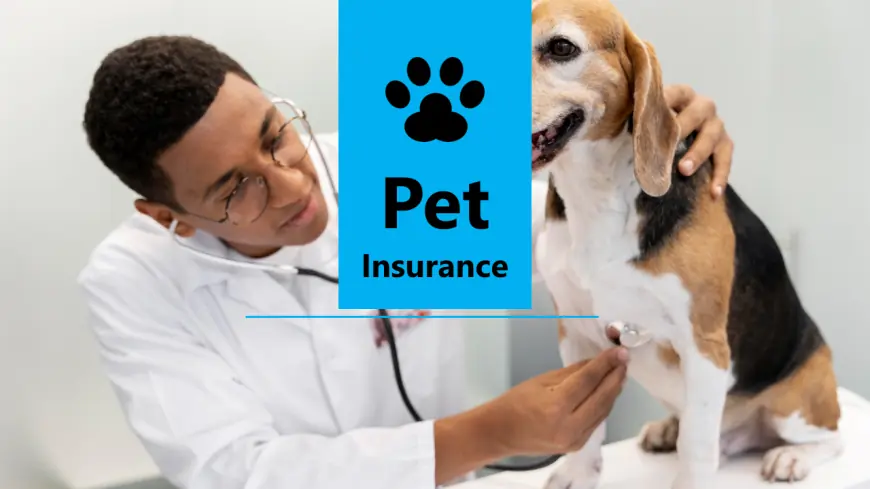 Pet Health Made Easy: Fargo’s Local Choice for Pet Insurance