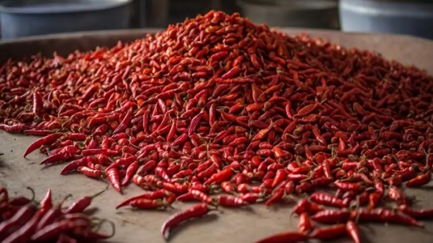 Chili Pepper Processing Plant Setup Cost 2025: Machinery and Raw Materials