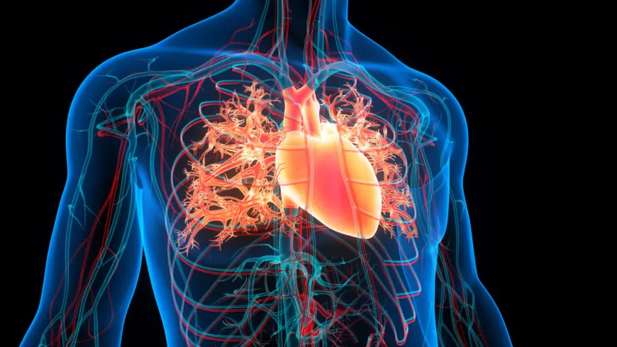 Managing Cardiovascular Risk: Market Growth and Innovation to 2032