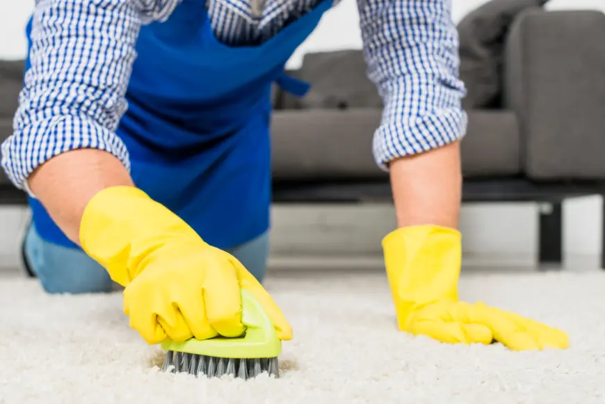 Carpet Maintenance Tips to Keep Pet-Friendly Homes Fresh