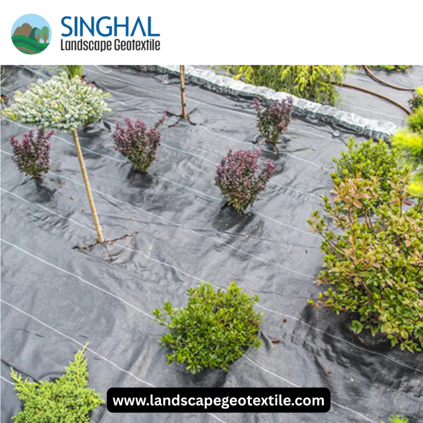 Weed Barrier Fabric: The Key to Effortless Landscaping and Garden Maintenance