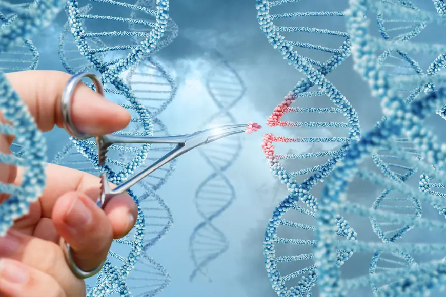 From Lab to Life: Global Genetic Engineering Market Forecast