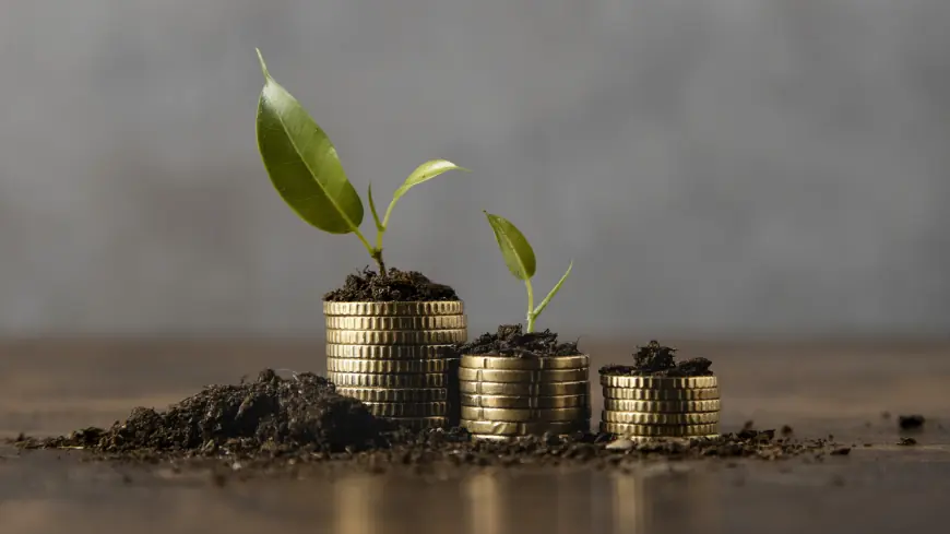 What Are The Different Calculators in The Best Mutual Fund Software in India?
