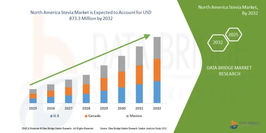 Natural Sweetener Trends Boost North America Stevia Market Growth