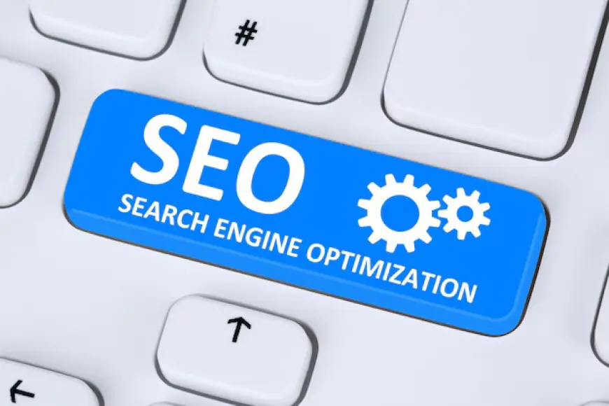 Why SEO Experte Hamburg Is Vital for Local Success