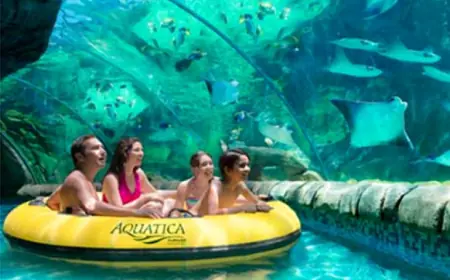 Affordable Apartments Close to UTSA: What You Need to Know Before Signing a Lease