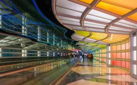Ready to Fly from O’Hare? Discover the Spirit Airlines Terminal Experience