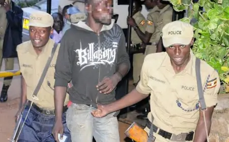 "Woiii Woiii! My Cousin Cried After Getting Caught Stealing a Bra at the Supermarket"