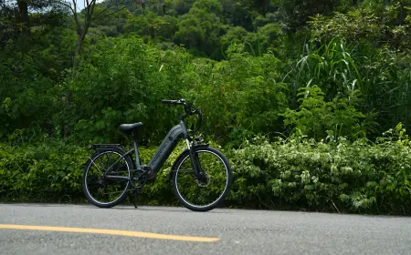 Pedal Assist vs. Throttle: Understanding the Different Ways E-Bikes Deliver Power