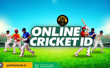 Why You Need an Online Cricket ID to Boost Your Game