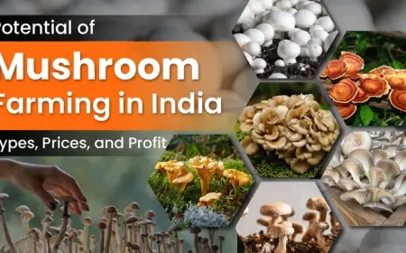 Check out the Varieties of Mushrooms and Cultivation in India